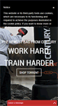Mobile Screenshot of centurymartialarts.com